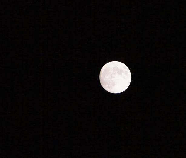 2014年 皆既月食_c0139591_16232812.jpg