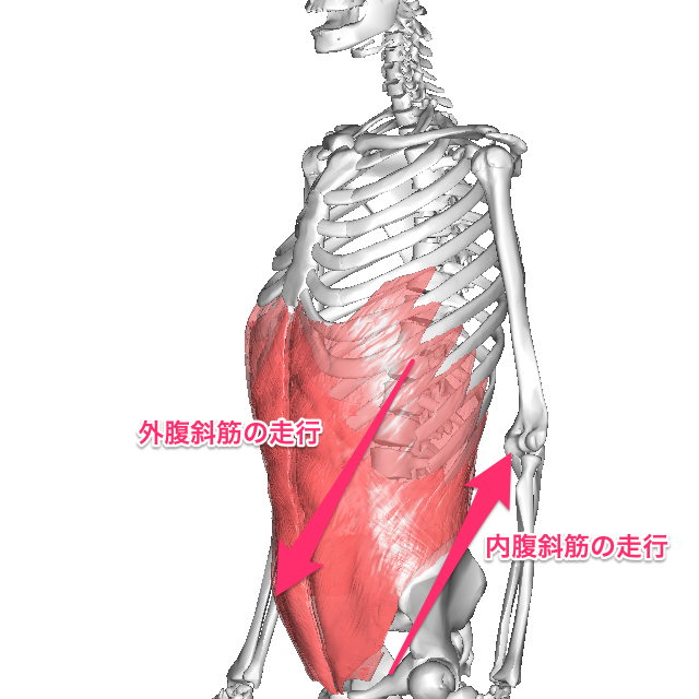 e0175702_21462811.png