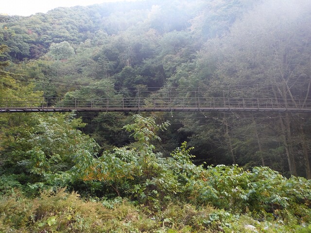 b0326303_23372885.jpg