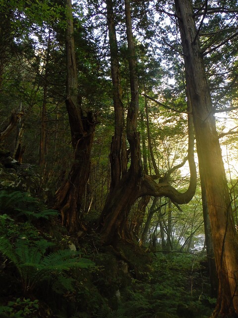 b0326303_23545576.jpg