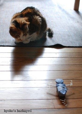 マクドナルドのおまけで遊ぶ猫_b0253205_04243147.jpg