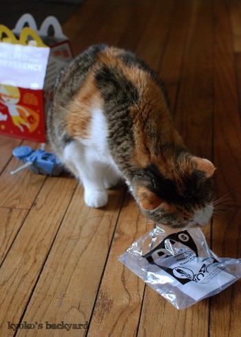 マクドナルドのおまけで遊ぶ猫_b0253205_04264000.jpg