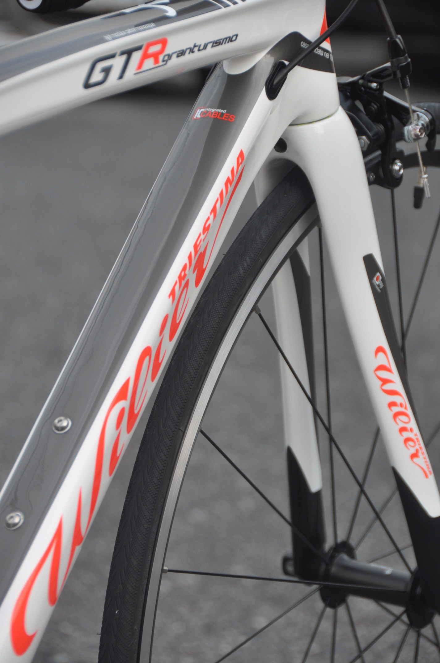 Wilier  2015M  ぞくぞくと入荷_b0246207_08293229.jpg