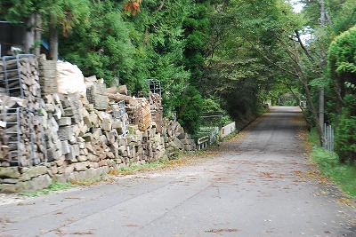 e0128909_8123157.jpg