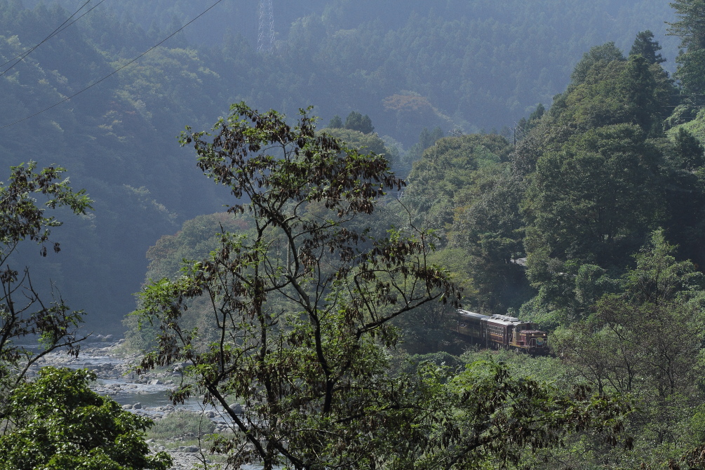 渡良瀬川を遡る　- 2014年秋・わたらせ -  _b0190710_20391238.jpg