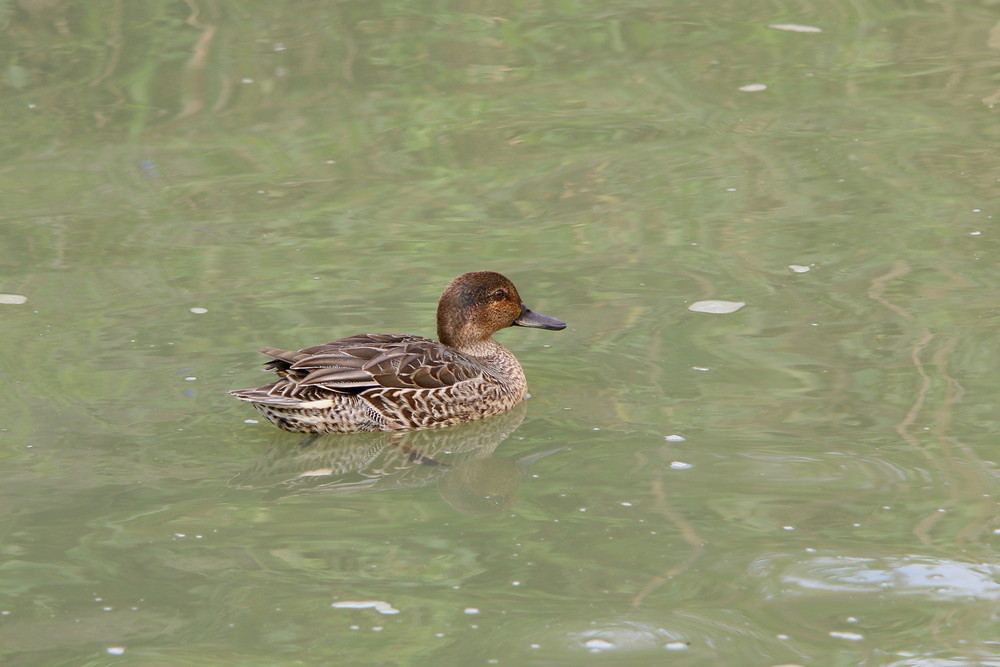 f0235311_2015190.jpg