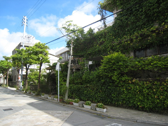f0032812_1621077.jpg