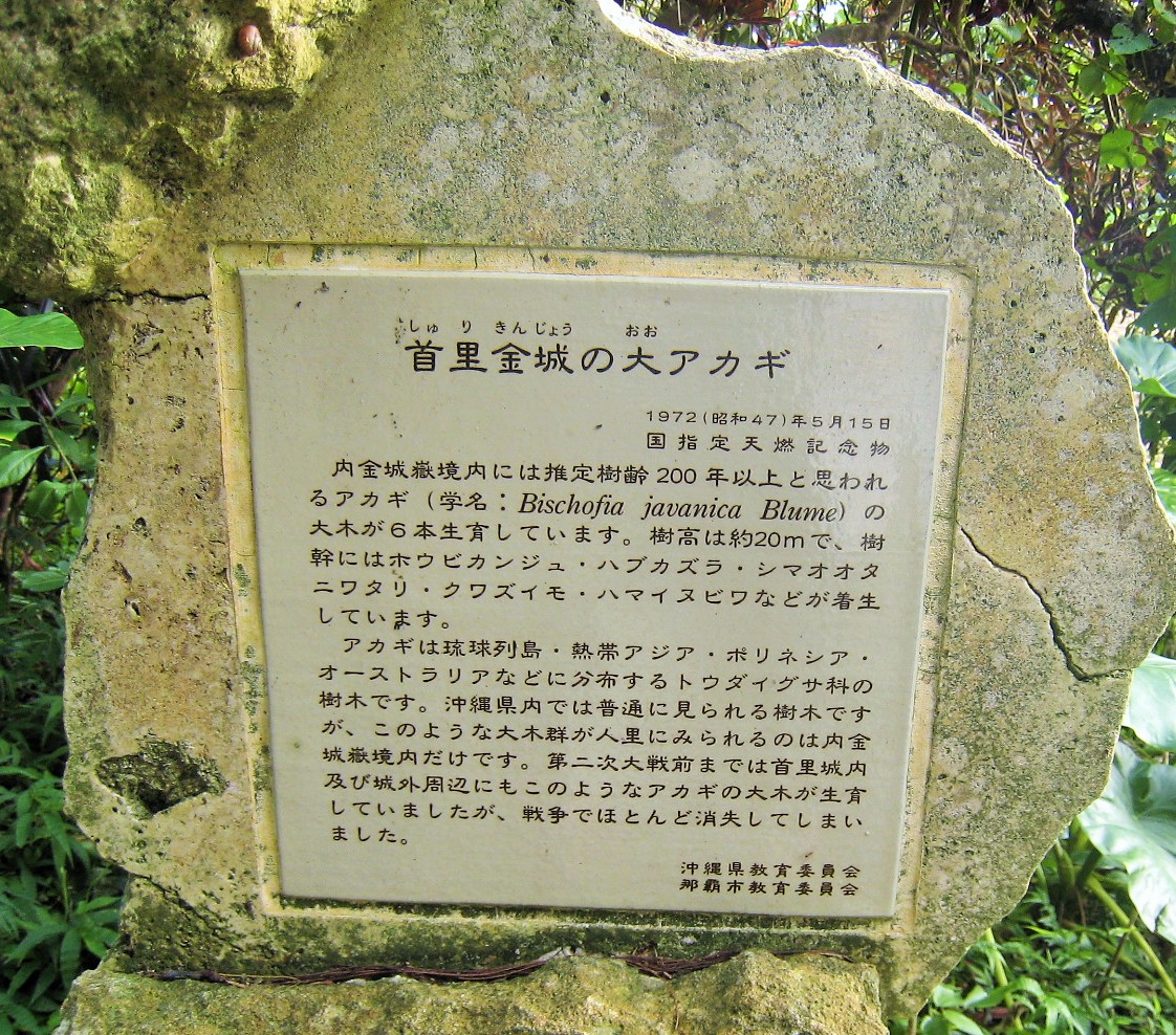 f0032812_16441998.jpg