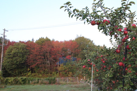 a0315813_72634.jpg