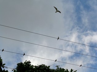 a0043520_22541640.jpg