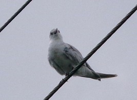 a0043520_22561550.jpg