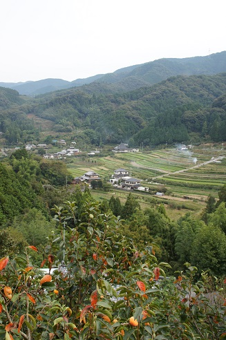 お野菜のジェラート ~キミノーカ(和歌山・紀美野)_c0235725_1104590.jpg