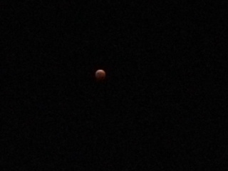 c0209626_08551394.jpg
