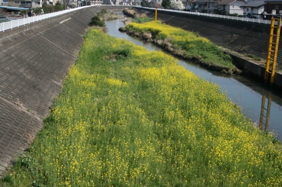 f0118426_00212132.jpg