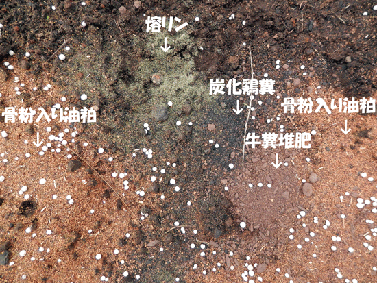 a0119827_23582133.gif
