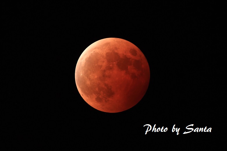 c0201929_848246.jpg