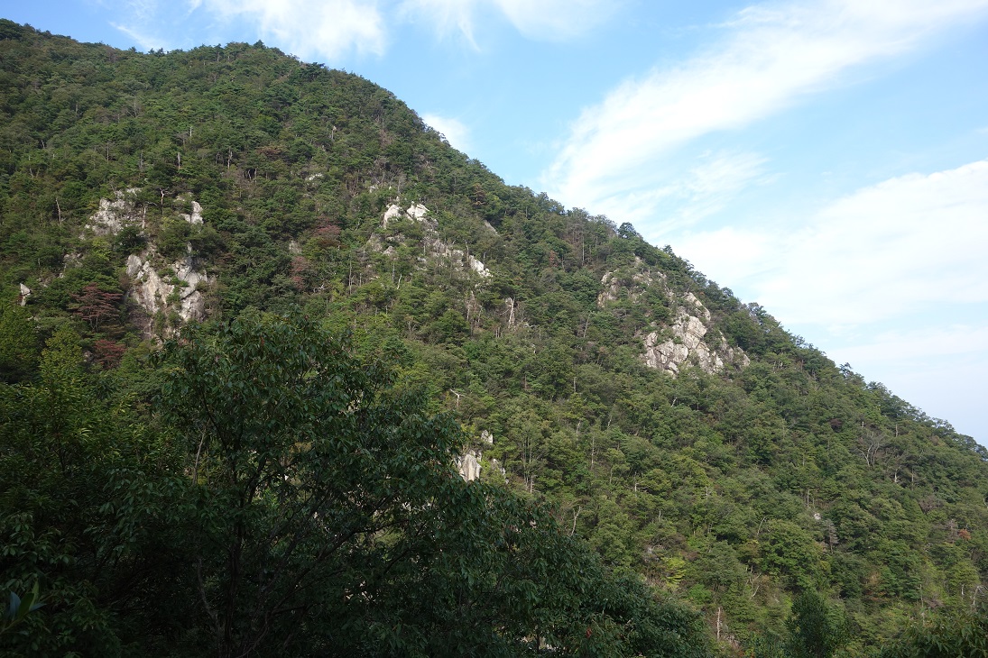 f0348933_215278.jpg