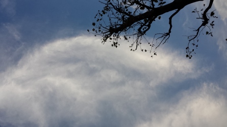 10月11日の空          ～ 台風は今どこに～_f0342536_18273600.jpg