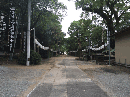 e0203037_035131.gif