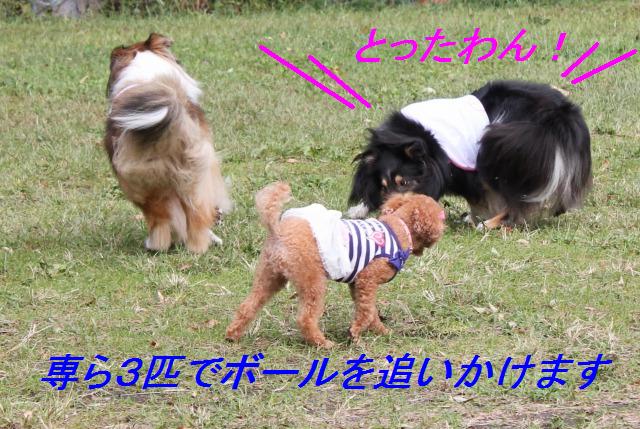 ミント流、おやつの貰いかた講座_e0195743_2281239.jpg