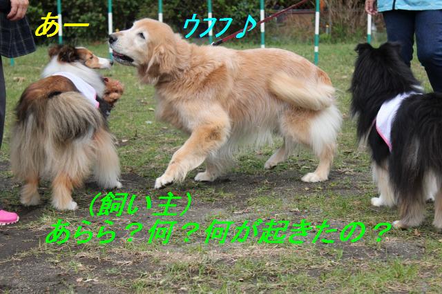ミント流、おやつの貰いかた講座_e0195743_2283037.jpg