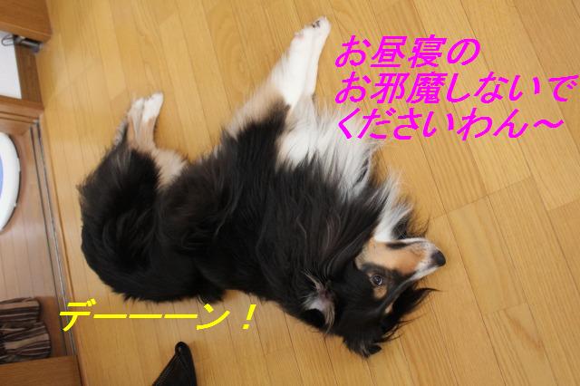 ミント流、おやつの貰いかた講座_e0195743_2295237.jpg