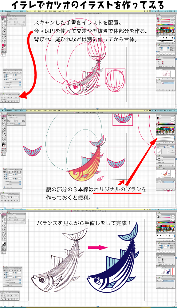 イラレでカツオのイラストを作ってみた Kami Kitaのpopなblog