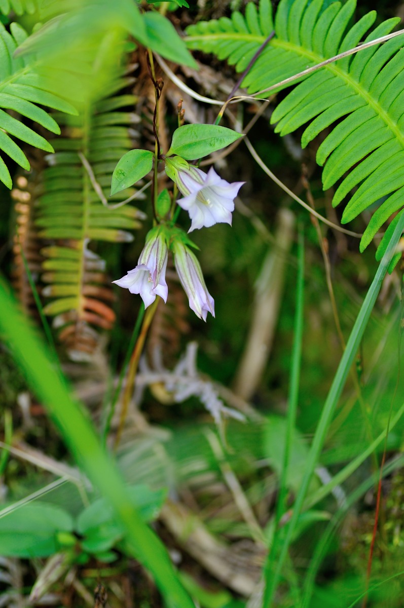 f0224648_11235282.jpg