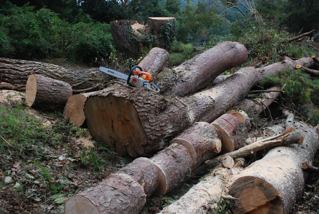 f0043750_211143.jpg