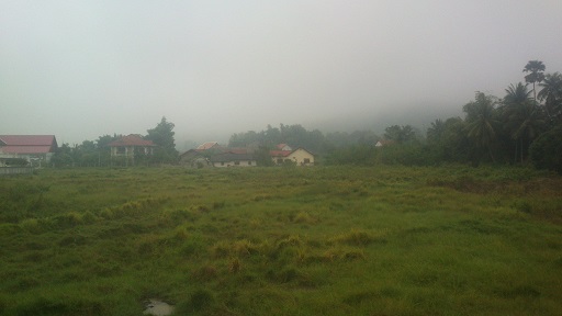 f0235252_02551.jpg