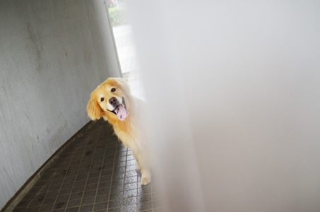 えっこの鯛めしーーー♪_f0044853_0562067.jpg