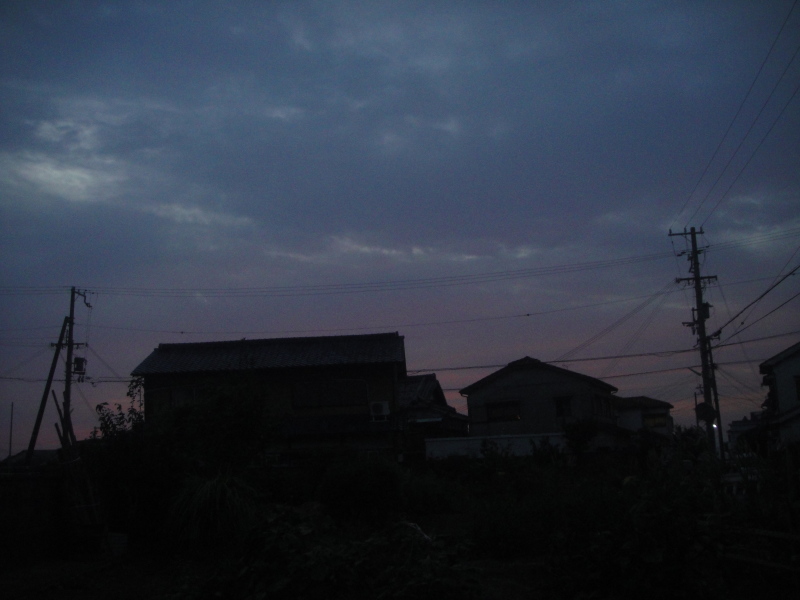 ちょこっと台風対策・・・? by (TATE-misaki)_c0108460_20595414.jpg