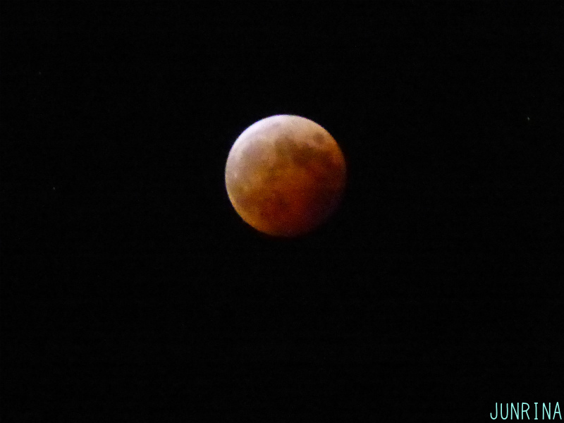 d0110562_15515276.jpg