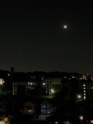 b0304571_193726.jpg