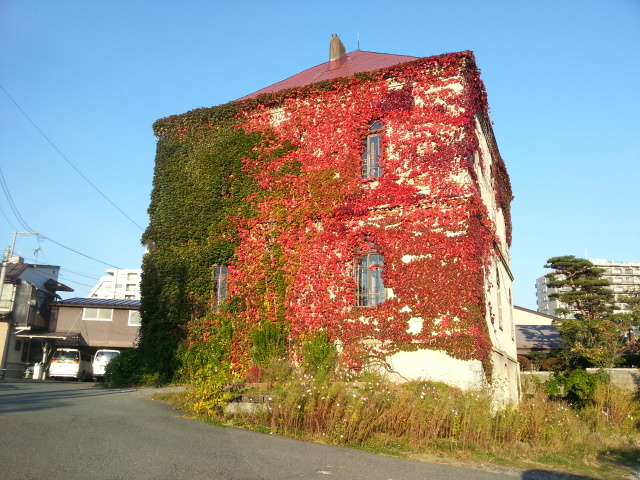 10月13日(月・祝)まで開催_a0141072_23111472.jpg