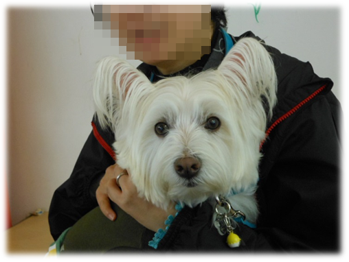 b0242873_10104932.png