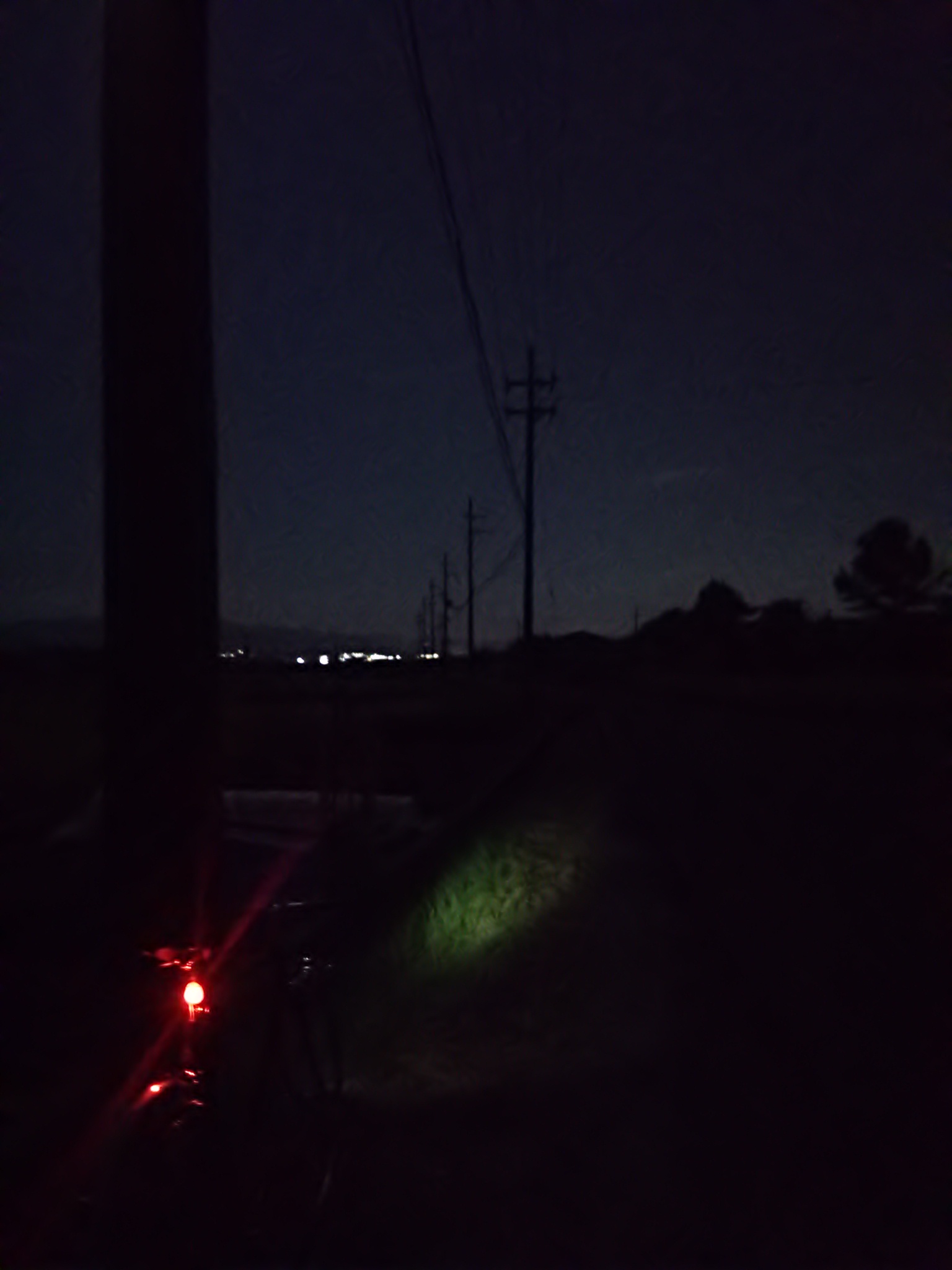 c0107075_1223176.jpg