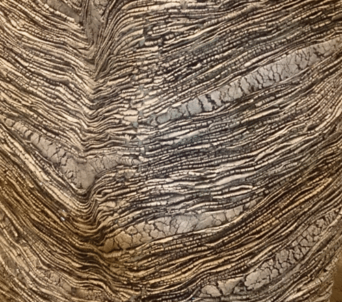 e0204475_11593460.gif