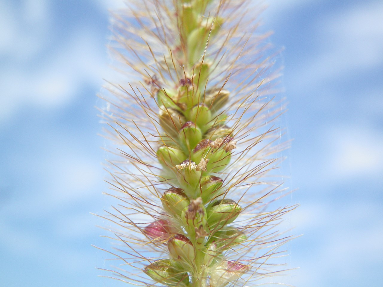 d0054276_20194485.jpg