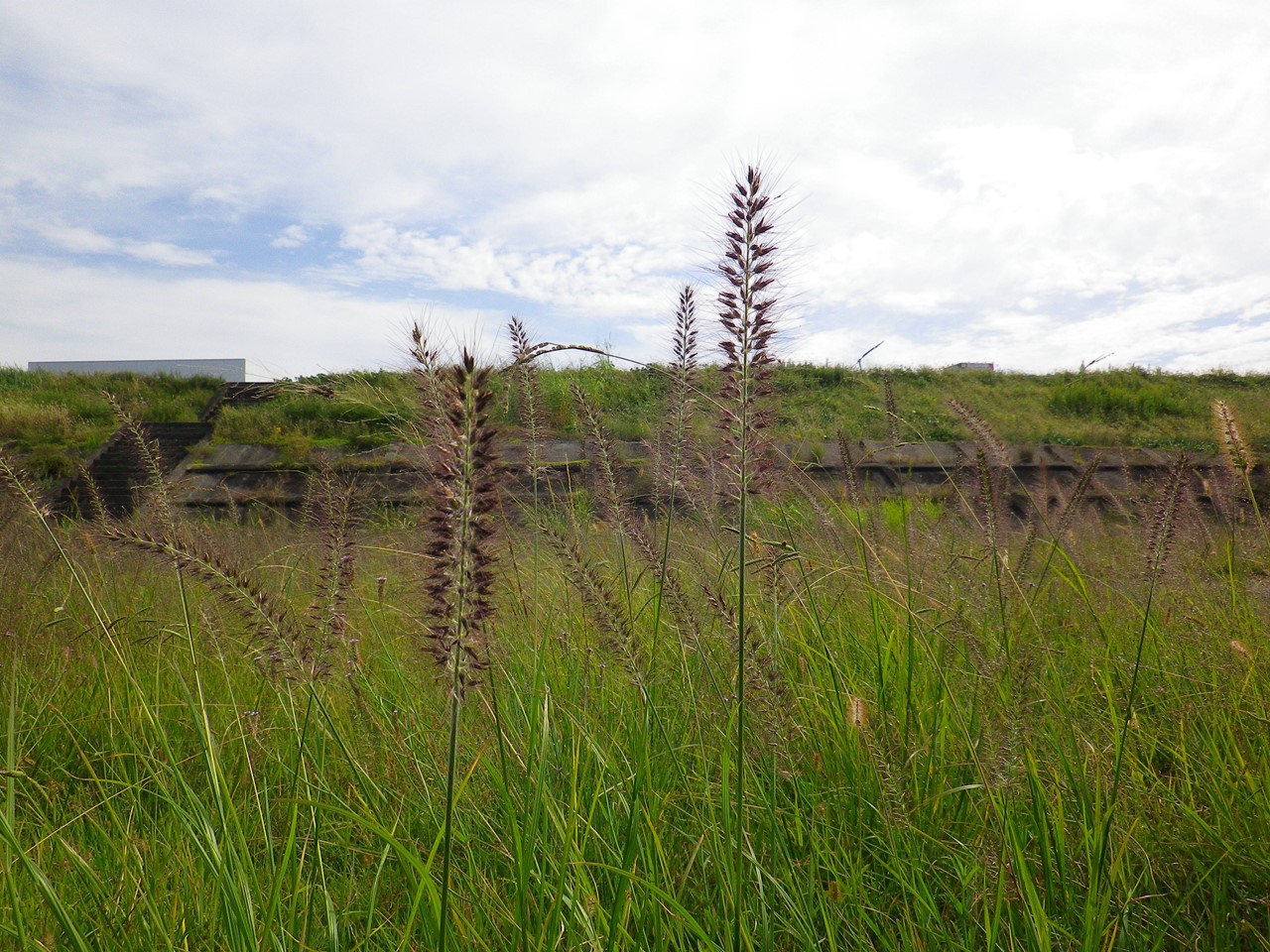 d0054276_20195861.jpg