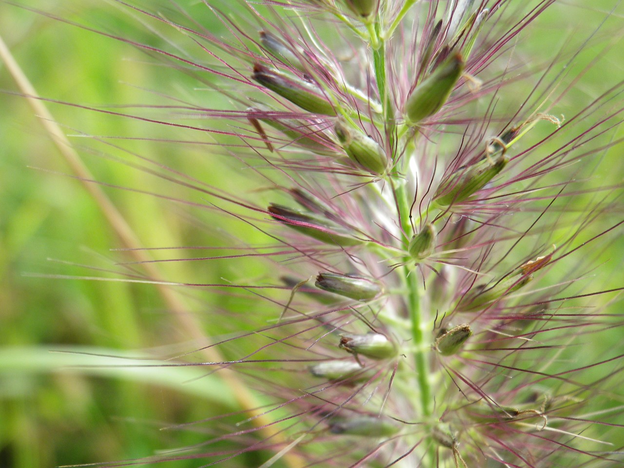 d0054276_202024100.jpg
