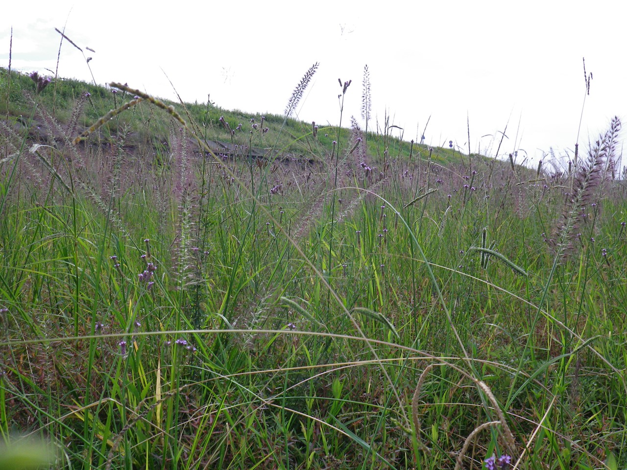 d0054276_20205188.jpg
