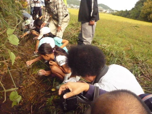 ホタルの幼虫を放流_c0329378_13545949.jpg