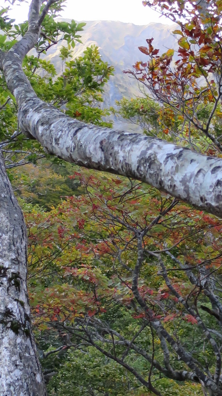 e0024081_15292517.jpg