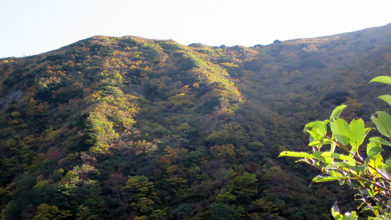 e0024081_15315140.jpg