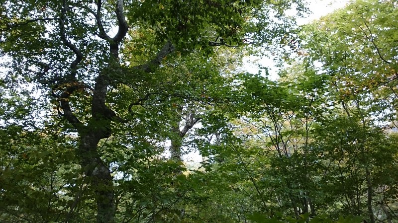 e0024081_17490340.jpg