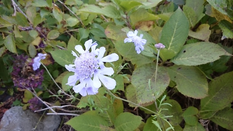 e0024081_17592204.jpg