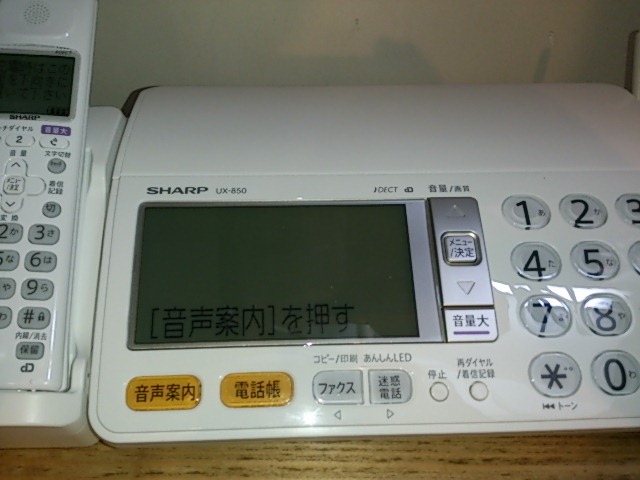 『新しく!』_a0075684_044291.jpg
