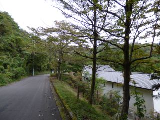 2014年10月11日 箱根蔵樹_b0098584_8153997.jpg
