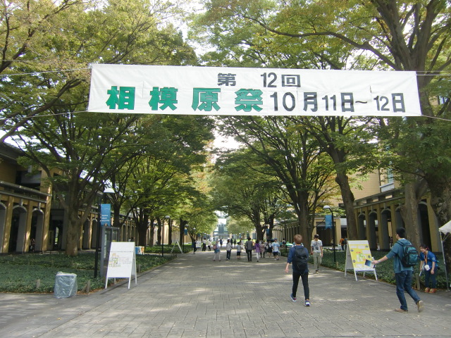 青学相模原キャンパス学園祭 14年10月11日 エーデルワイス